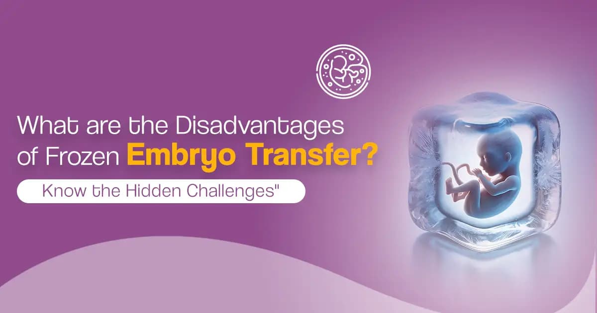 What are the Disadvantages of Frozen Embryo Transfer? Know the Hidden Challenges image