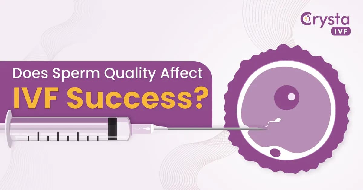 Does Sperm Quality Affect IVF Success? image