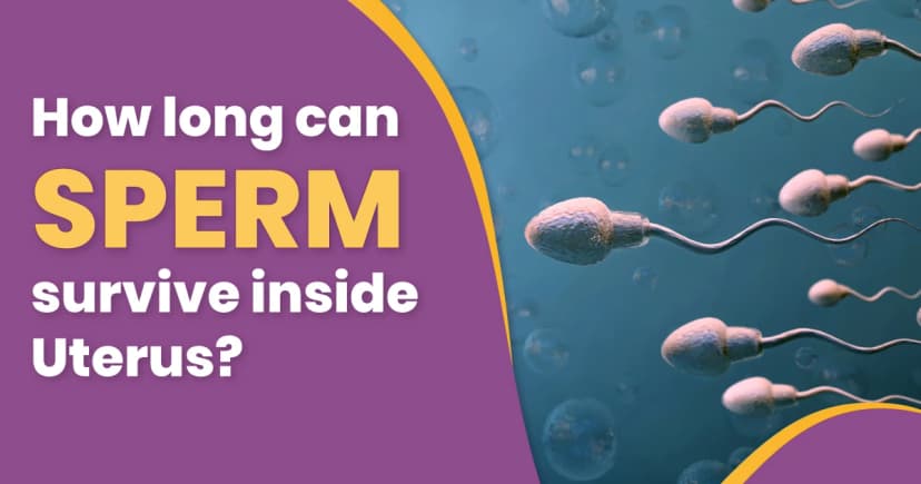 How Many Days Sperm Live in Female Body? (Lifespan of Sperm) image
