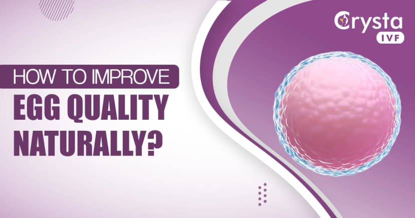 How to Improve Egg Quality Naturally? image
