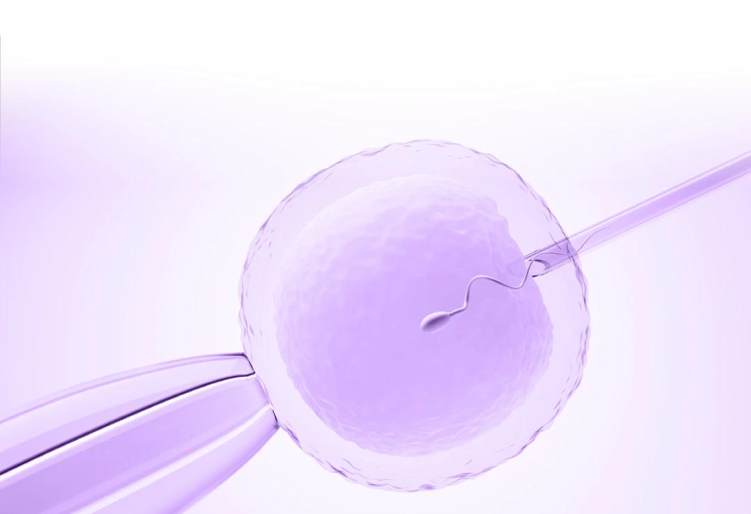 ivf-in-vitro-fertilization