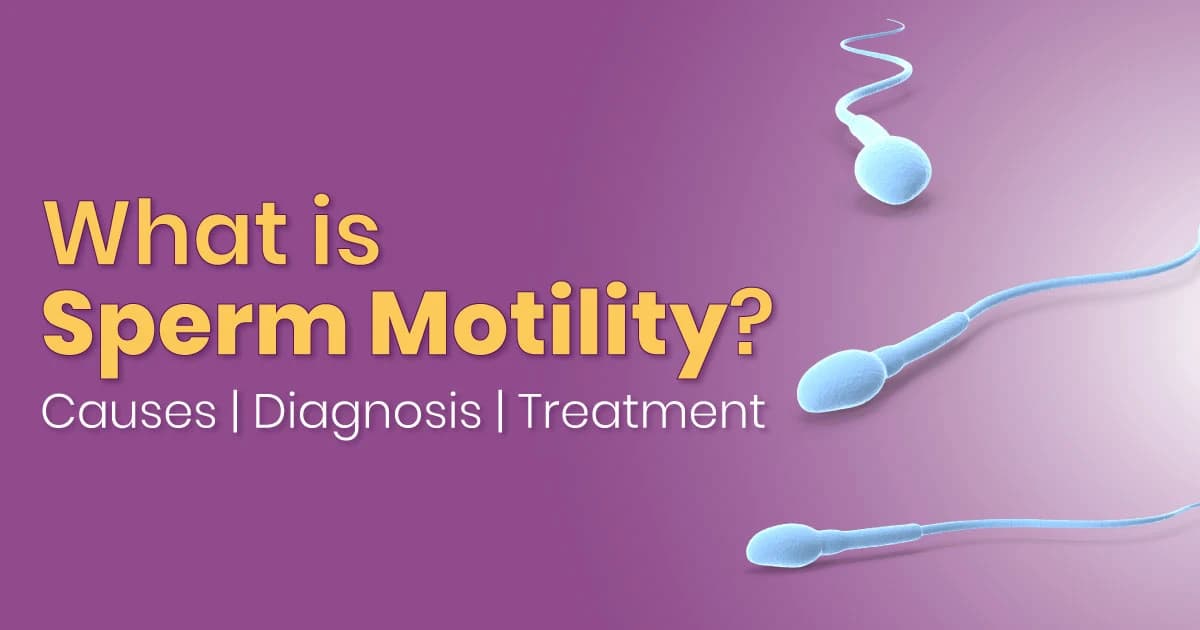 garter belt bent over Lubricants Which Can Negatively Effect Sperm — Male Infertility Guide