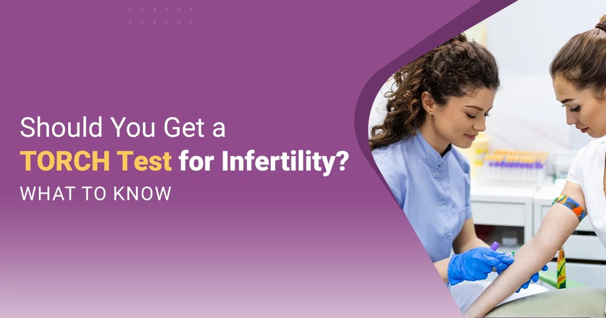 What is a TORCH Test and How Does It Impact Fertility Treatment? image