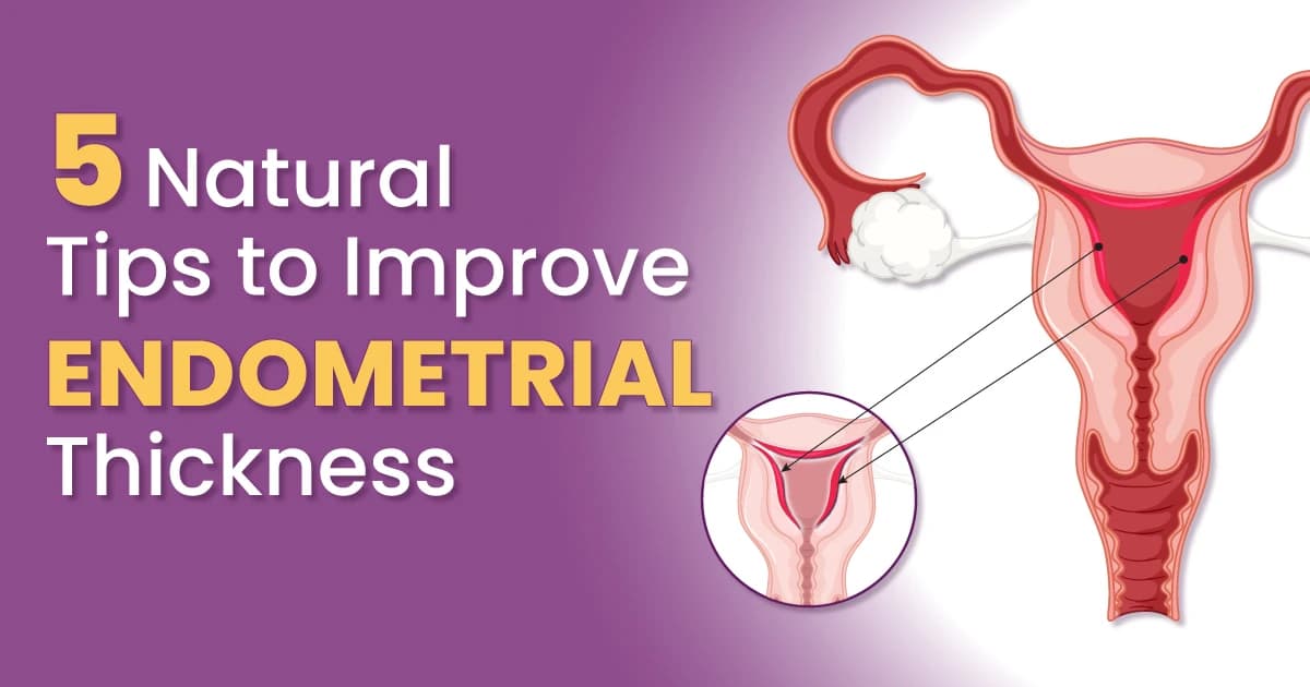 5 Natural Tips to Improve Endometrial Thickness for IVF and Pregnancy image