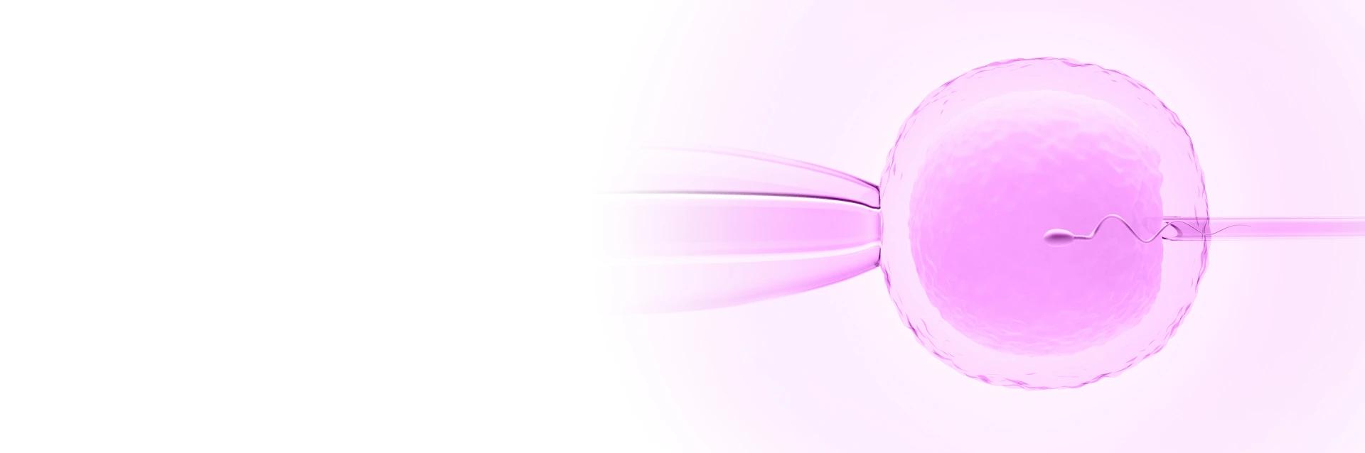 ICSI Treatment in India