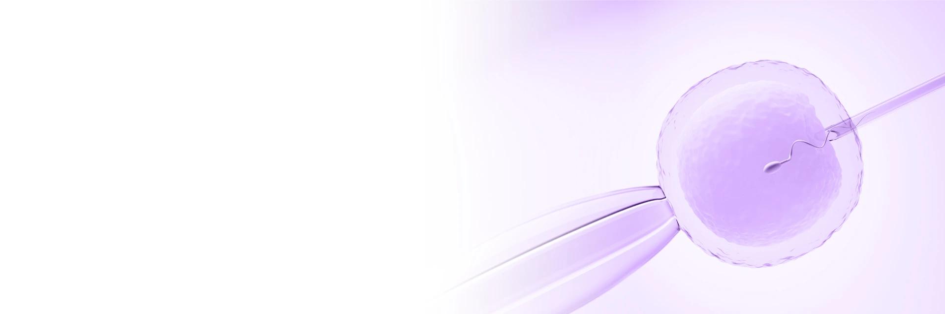 In Vitro Fertilisation Treatment with Care, Science & Hope