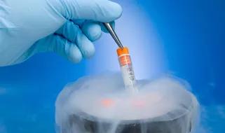Cryopreservation in India