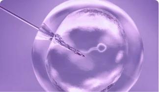In Vitro Fertilization, IVF Treatment in India