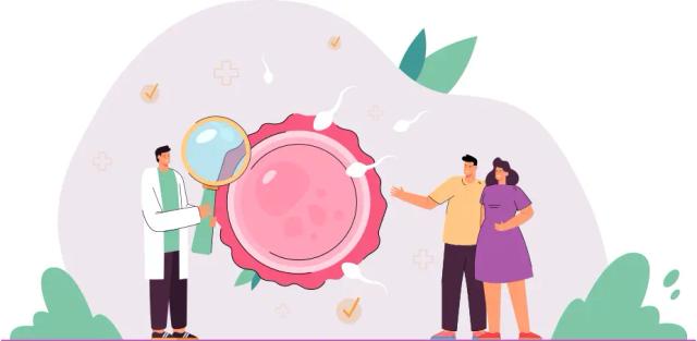 Talk to an Fertility Expert