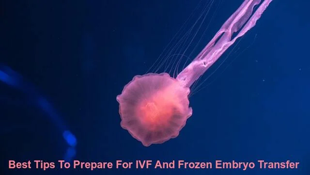 Best Tips To Prepare For IVF And Frozen Embryo Transfer