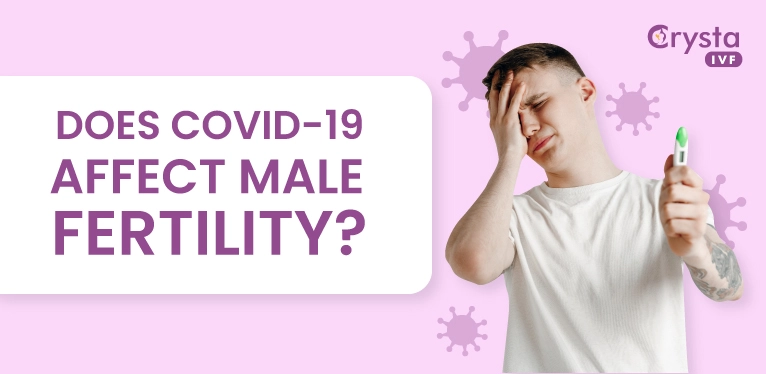 does covid 19 affect male fertility