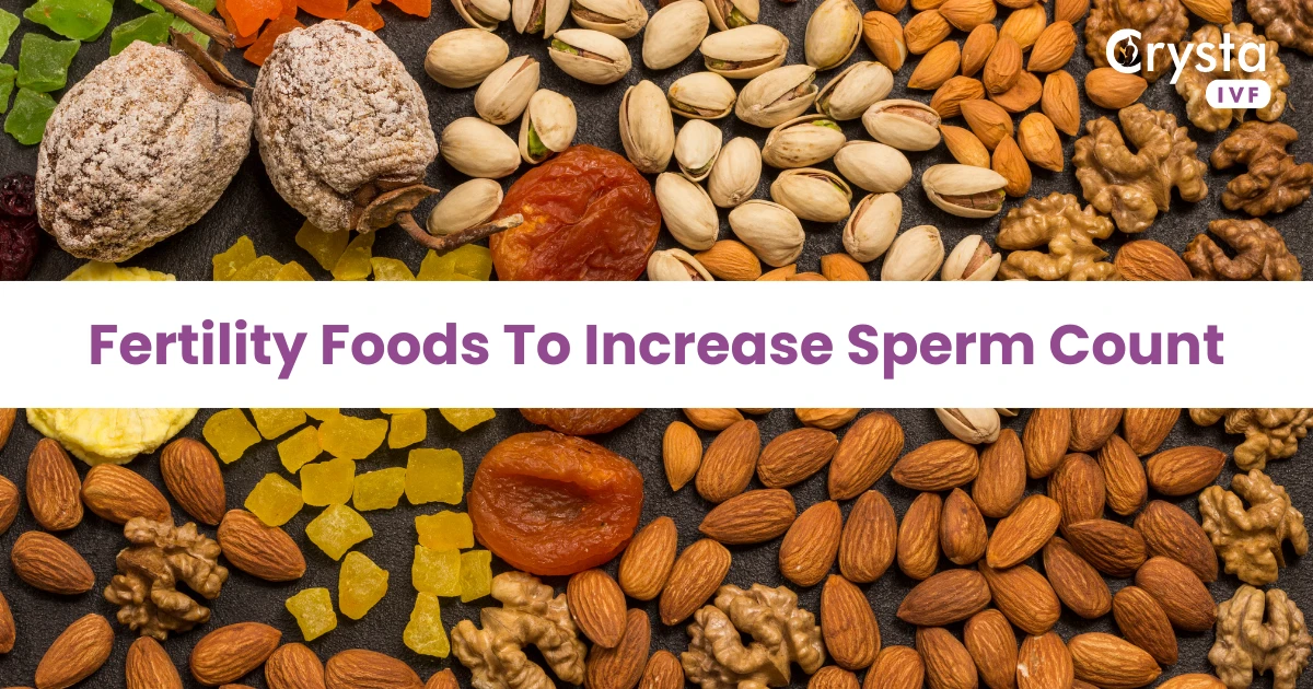 Fertility Foods To Increase Sperm Count