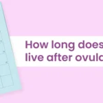 how long does an egg live after ovulation