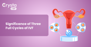 significance of three full IVF cycles for successful pregnancy