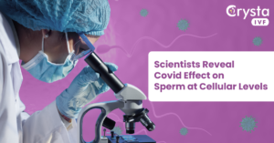 scientists reveal covid effect on sperm at cellular levels