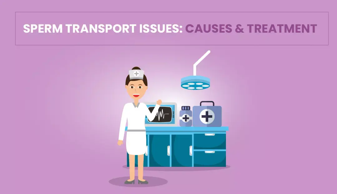 Sperm Transport Issues Causes & Treatment