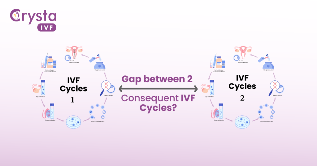 gap between 2 consequent IVF cycles