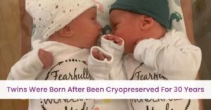 Twins Were Born After Been