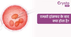 एम्ब्र्यो ट्रांसफर - Embryo Transfer in Hindi: