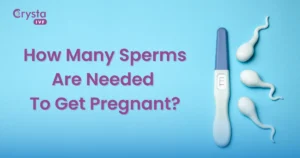 how many sperms are needed to get pregnant