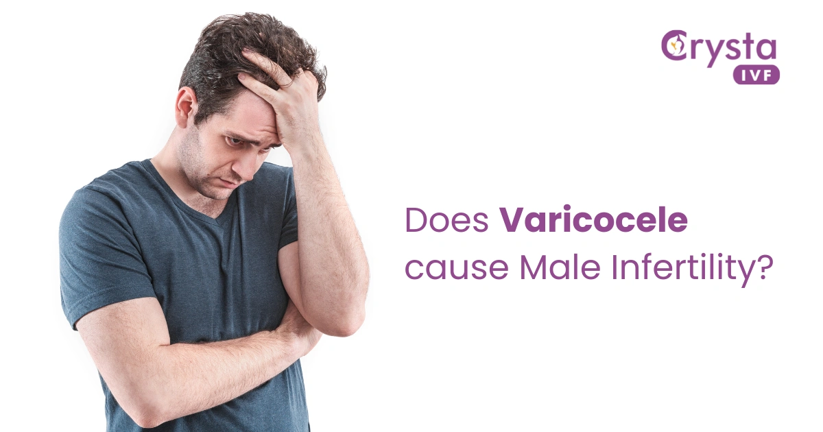 does varicocele cause male infertility