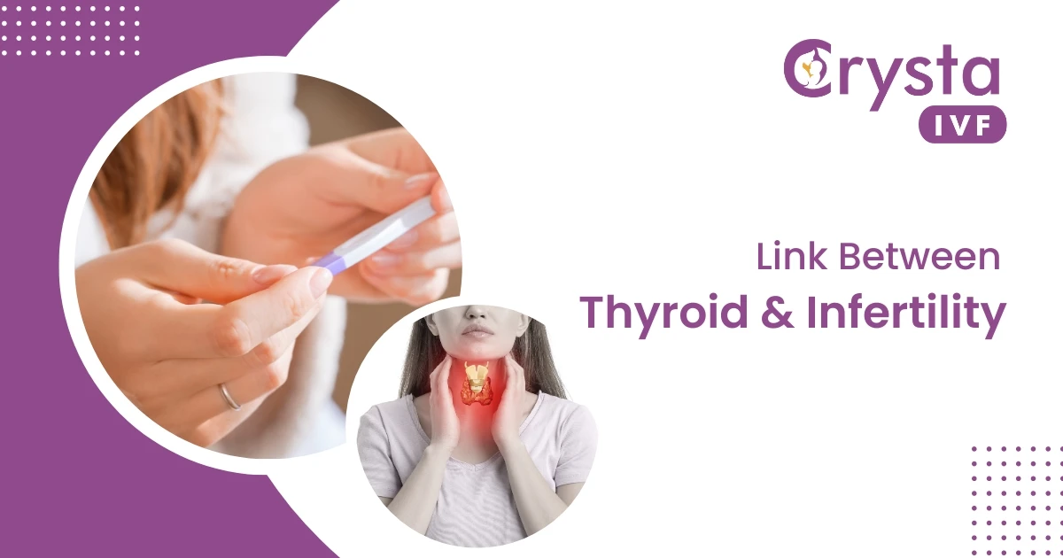 Can Thyroid Problems Affect Fertility?