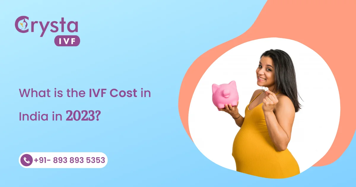 What is the IVF Cost in India in 2023?
