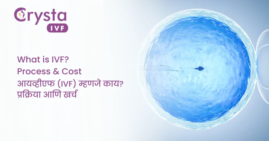 what is ivf in marathi