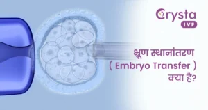 भ्रूण स्थानांतरण Embryo Tansfer