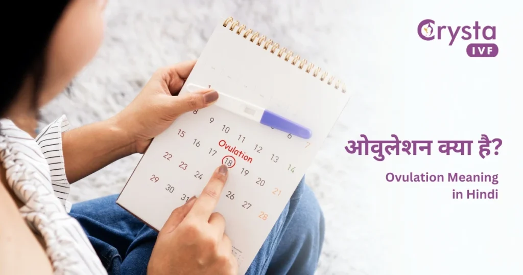 Ovulation meaning inhindi
