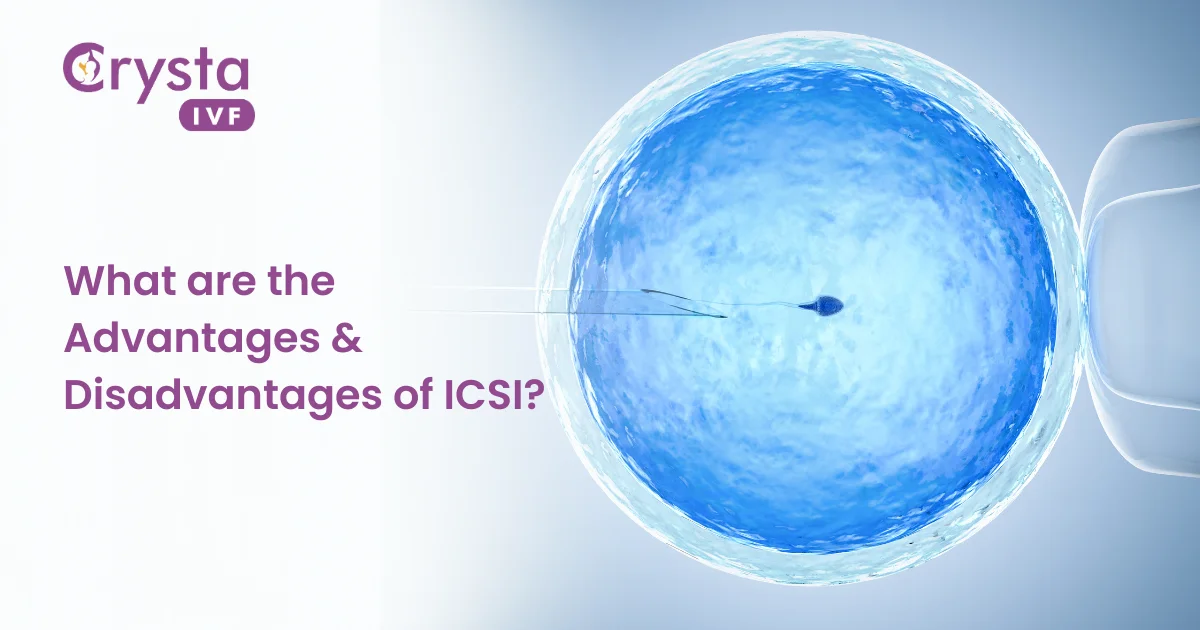 pros and cons of icsi