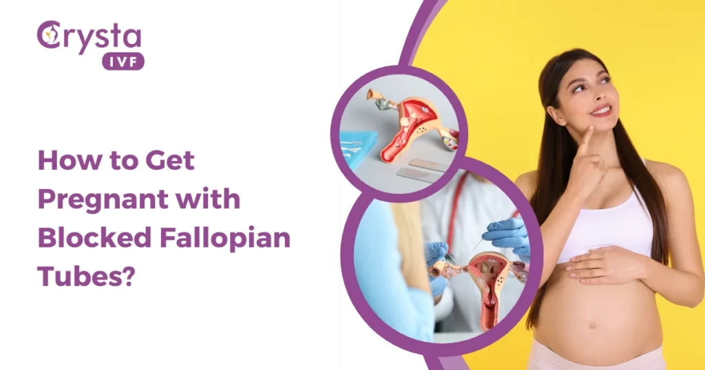 How to get pregnant with blocked fallopian tubes