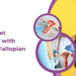 How to get pregnant with blocked fallopian tubes