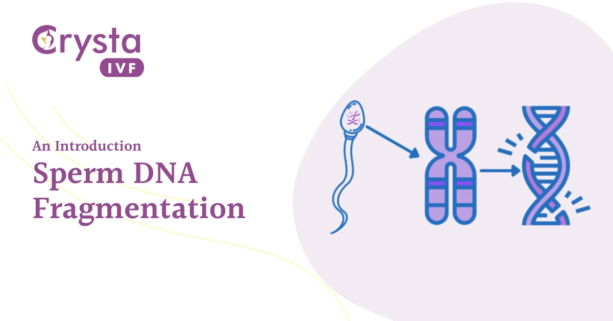 Sperm DNA Fragmentation