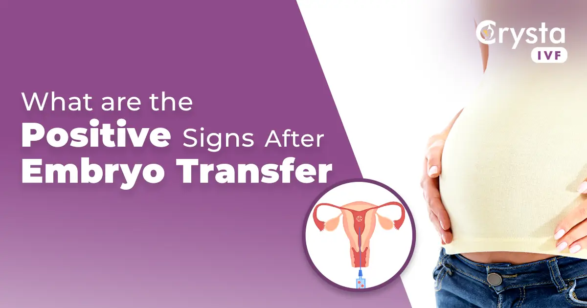 You are currently viewing What are the positive signs to look after an embryo transfer?