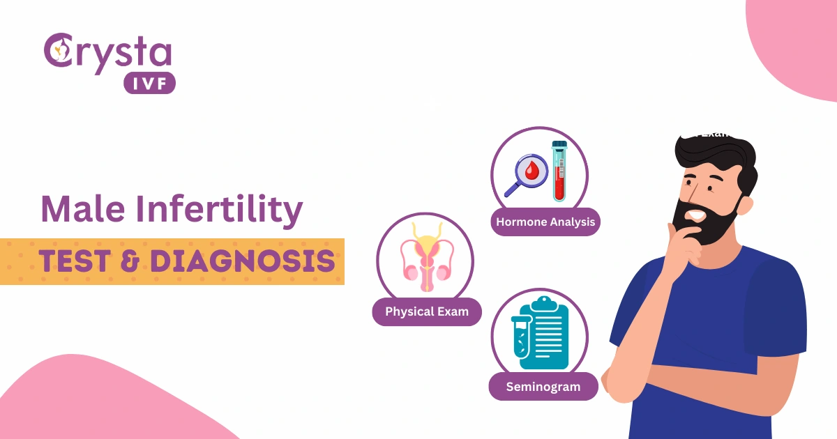 Male Infertility test and diagnosis