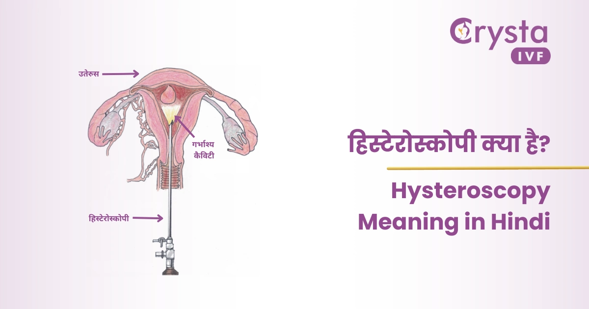 हिस्टेरोस्कोपी Hysteroscopy Meaning in Hindi