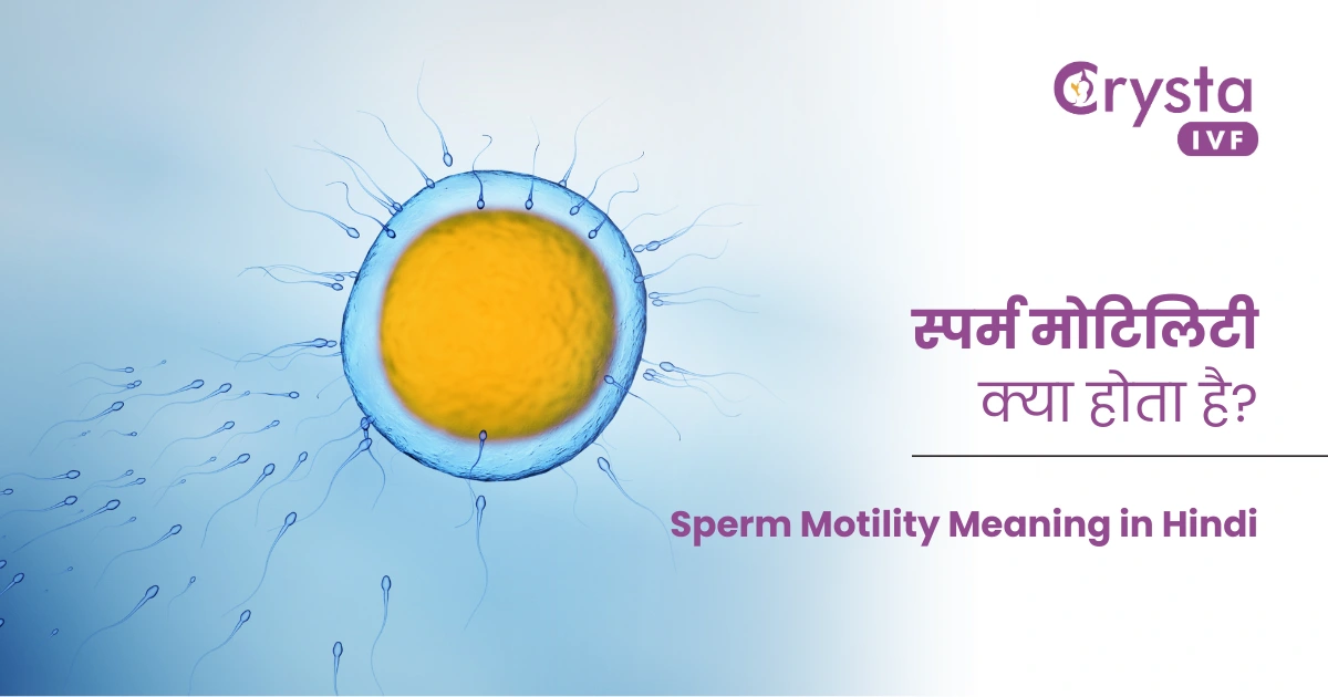 Sperm Motility Meaning in Hindi