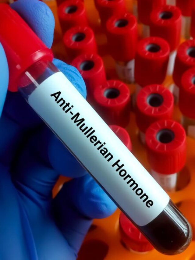 [fpdl.in]_anti-mullerian-hormone-amh-test_595440-1361_medium