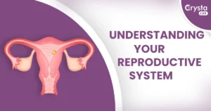 understanding your reproductive system