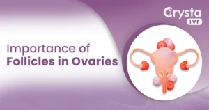 Follicles in Ovaries
