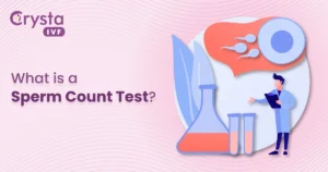 What is a Sperm Count Test?