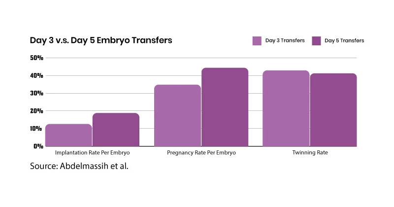 day 3 vs day 5 embryo transfers