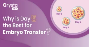 Why is Day 5 the Best for Embryo Transfer