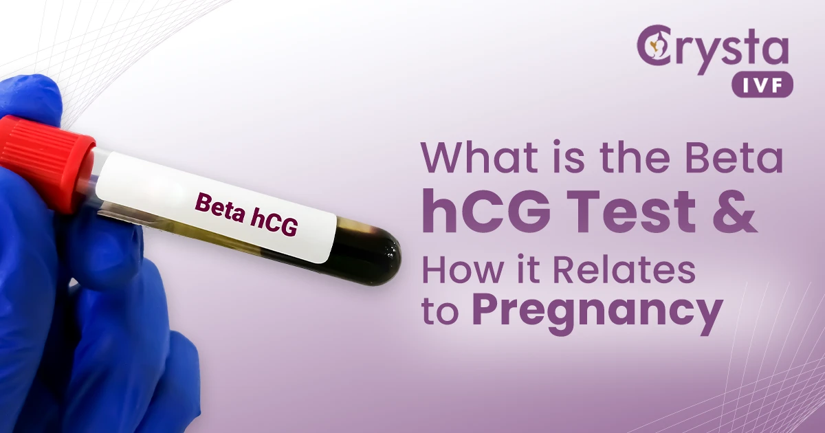 What is the Beta hCG Test and How it Relates to Pregnancy