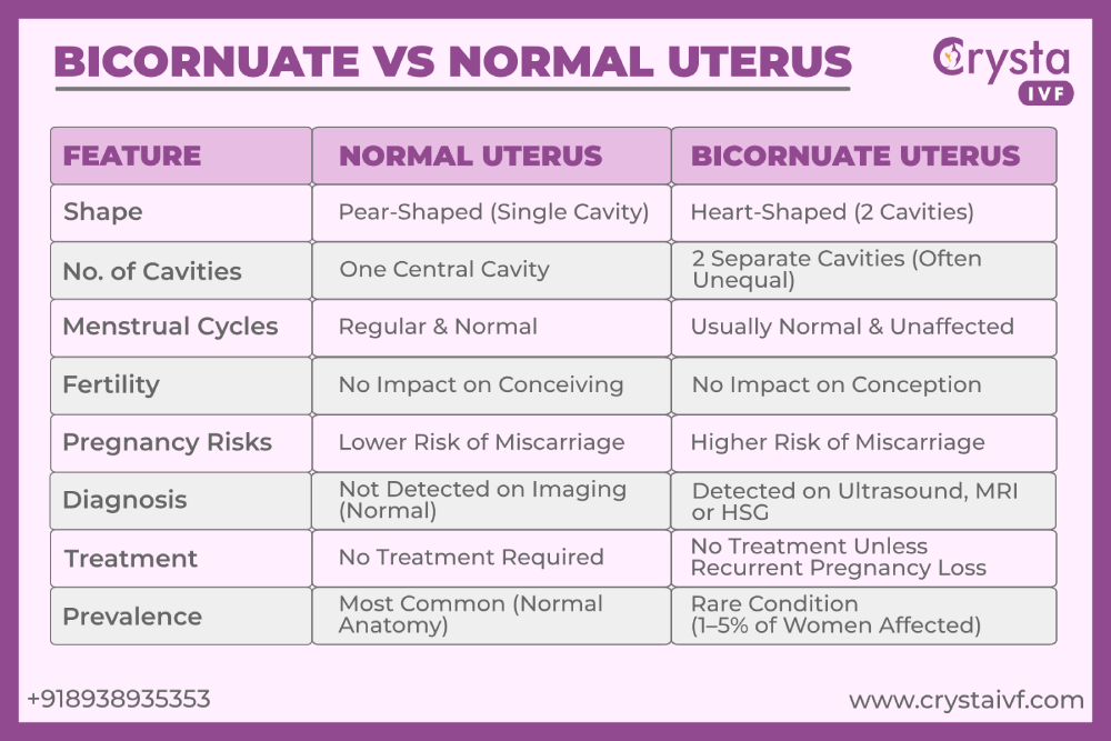 Bicornuate vs Normal Uterus