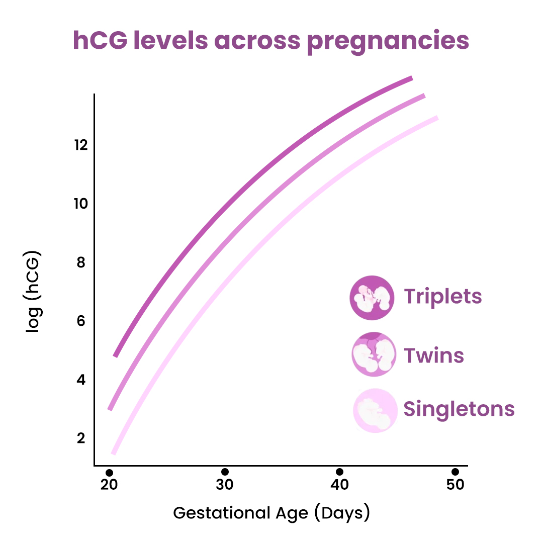 hCG Levels Across Pregnancies