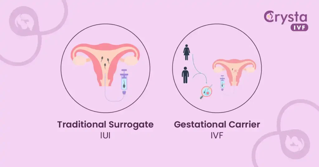 traditional surrogate and gestational surrogacy treatment process