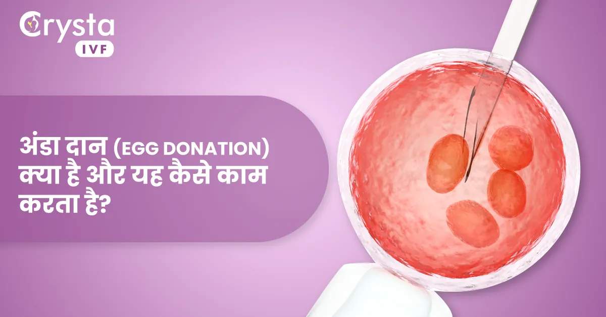 अंडा दान क्या है और यह कैसे काम करता है, egg donation and how does it work