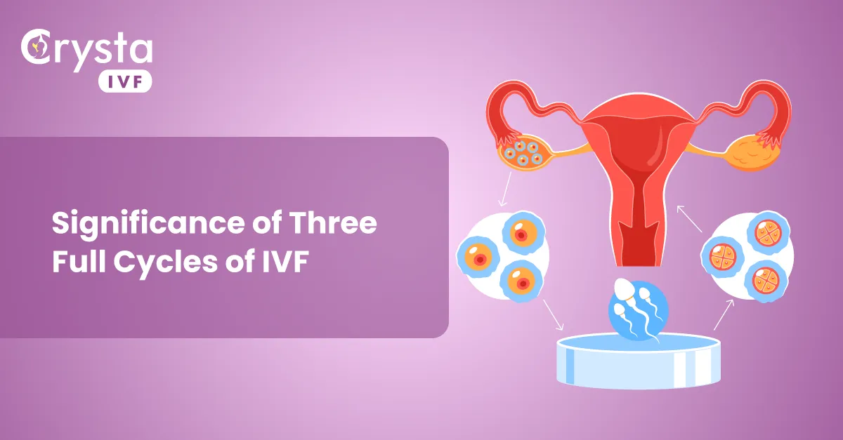 significance of three full IVF cycles for successful pregnancy
